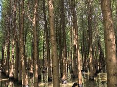 -捞渔河湿地公园