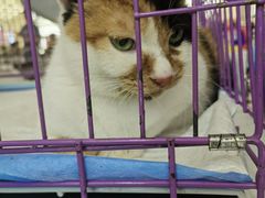 -凯德广场(武胜路店)