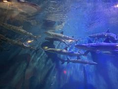 -华夏文旅西安度假区