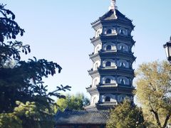 -哈尔滨文化公园