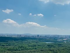 -紫金山山顶公园