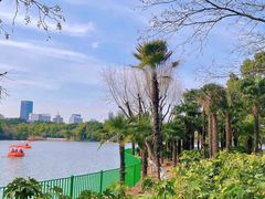 -黄兴公园