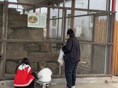 -河北村民俗体验园