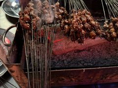 -杨记烤肉老店