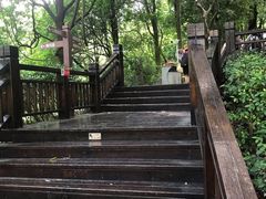 -天鹿湖森林公园