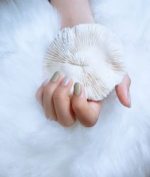 -ZX·美睫设计师汇聚店