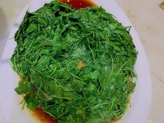酒香草头-阿巧一号私房菜(止园路店)