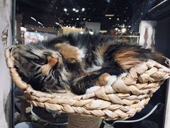-小时光咖啡馆(开森度假森林店)