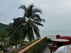 -日落吧·海景咖啡厅·餐酒吧·鸡尾酒·下午茶·乐队表演·浪漫夕阳·三亚文华东方酒店