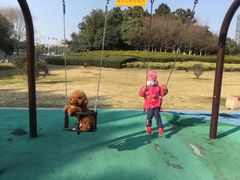 -中央公园(苏州工业园区)
