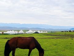 -新疆那拉提国家旅游度假区