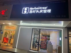 -菩叶脱发白发中心