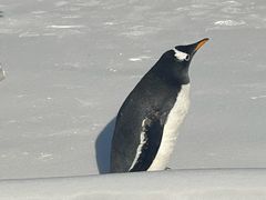 -沈阳奥体冰雪嘉年华