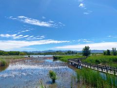 -野鸭湖国家湿地公园