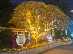 -布吉佳兆业广场