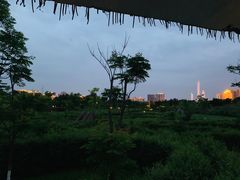 -眉山湿地公园(东坡区)
