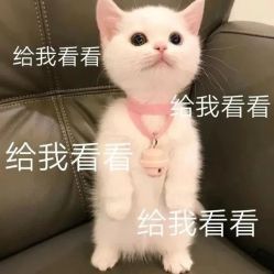 -诗碧曼养发