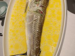 -森隆饭庄(崇文门新世界百货店)