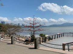 -深圳湾公园(南山区)