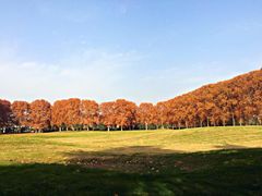 iphone_upload_pic-河南省黄河迎宾馆