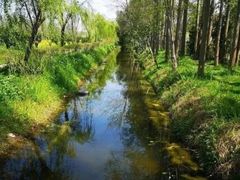 -前小桔亲子创意农场·草莓采摘·露营烧烤