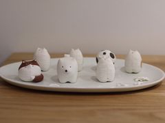-猫里有甜