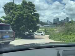 -沸奇公园·情景团建·年会露营烧烤轰趴生日(科技园店)