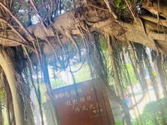 -大嶝英雄三岛战地观光园