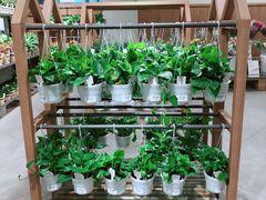 -鹿岛会员店 (龙湖三千集天街店)