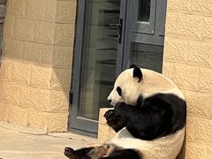 -石家庄市动物园