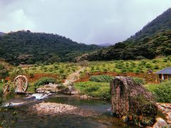 -广州市石门国家森林公园