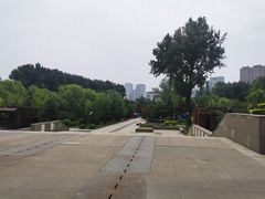 -大清花饺子(园林路店)