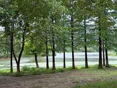 -长广溪湿地公园