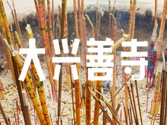 -西安大兴善寺
