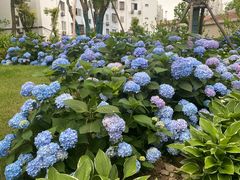 -漕溪路(地铁站)