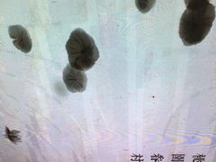 大堂-桃园眷村(万象天地店)