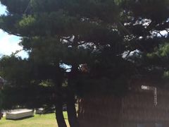 -金泽21世纪美术馆