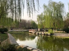 -丰台科技园生态主题公园