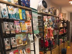 -钦宠·猫咪售卖·洗护·寄养(东圃旗舰店)
