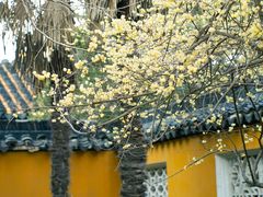 -北寺塔