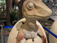 -湖南省地质博物馆