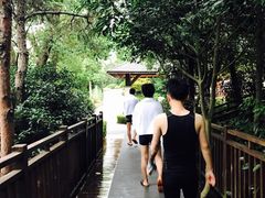 -天目湖涵田半山温泉