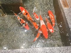 -牛街·马辈儿涮肉(牛街总店)