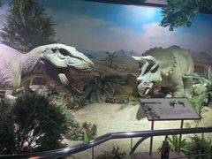 -国家自然博物馆