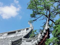 -龙华寺