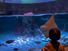 -沈阳海洋探索中心