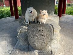 -南岳大庙