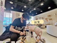 -藏猫猫咖啡主题馆(中央大道店)