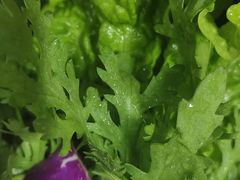 -德龙火锅(松源街直营店)