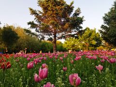 -长春公园(普阳街道)